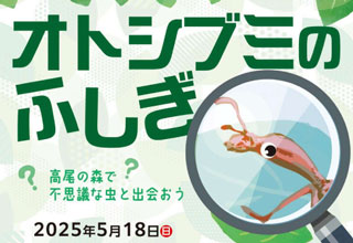 自然教室 「昆虫探偵団　オトシブミの不思議」